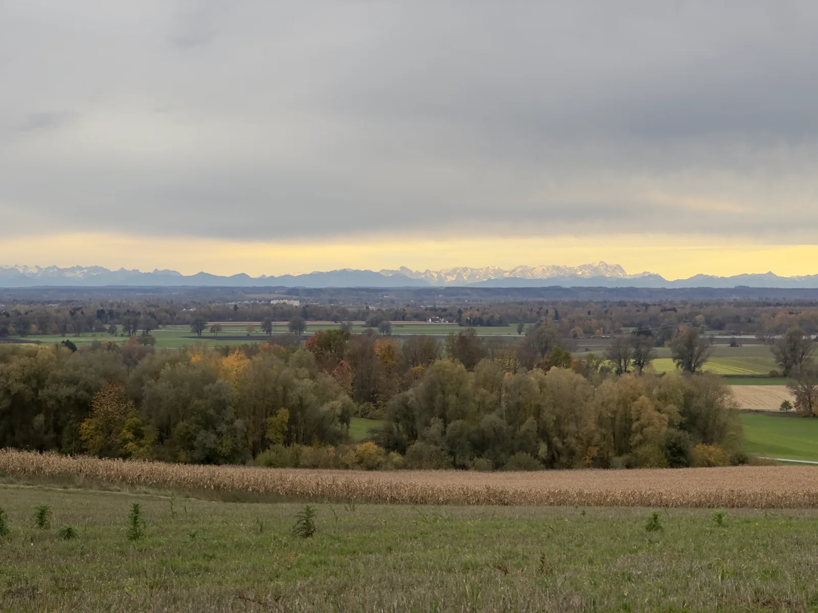 View of the Alps from a gravel ride
